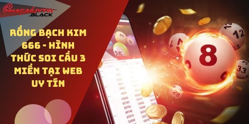 Rồng Bạch Kim 666 chia sẻ cách soi cầu chuẩn nhất